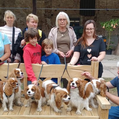 Welpentreffen 23.08.25