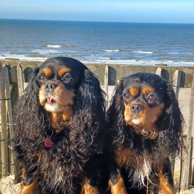 Daisy mit Ihrer Tocher Josie im Febr.25