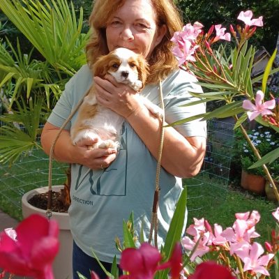 Sylvia hat wieder eine neue und schöne Aufgabe mit Nacho